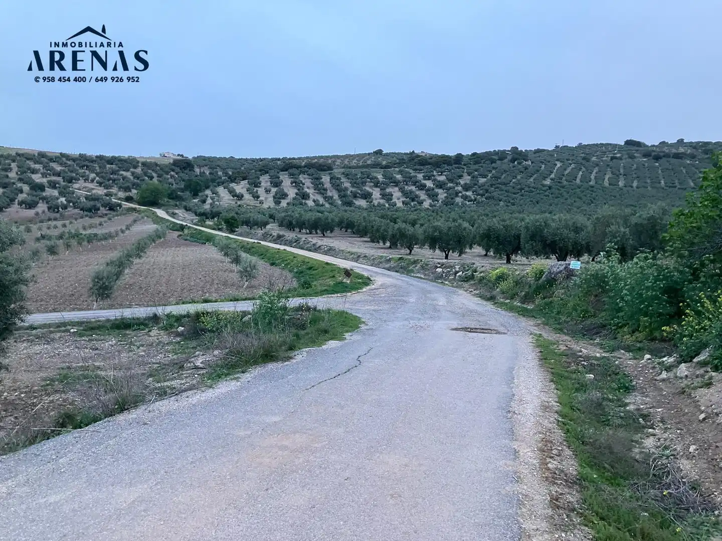 Rustikales Grundstück zum Verkauf in Carretera Montefrío, imagen 8