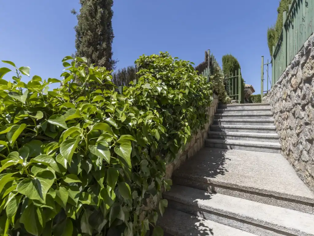 Garden of Houses for sale in Granada