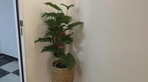 Foto 5 de Estudi de lloguer a Isabel Manoja, 6, Ayuntamiento, Málaga