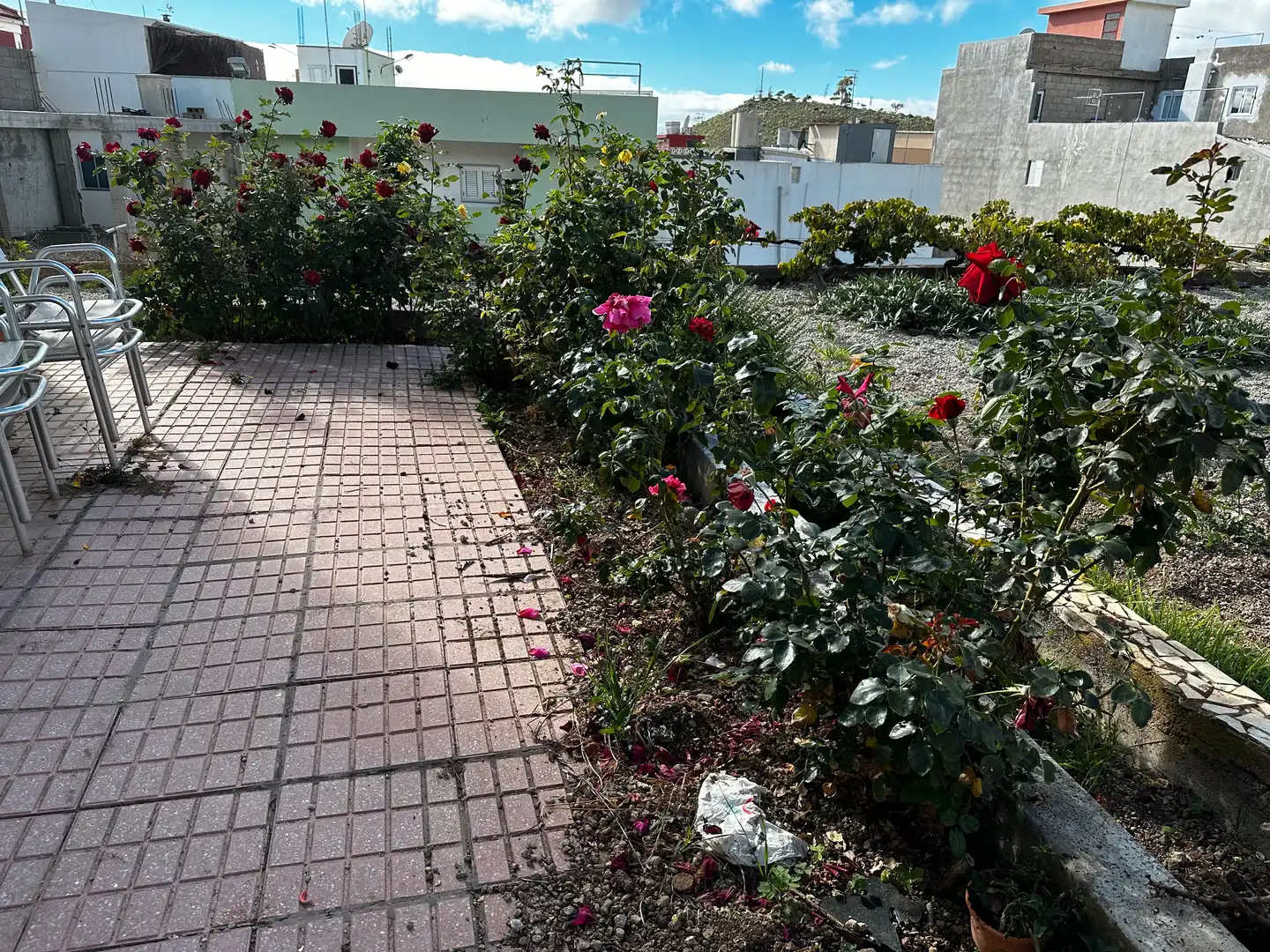 Terreny rústic en venda a Calle Virgen del Pino, imagen 22