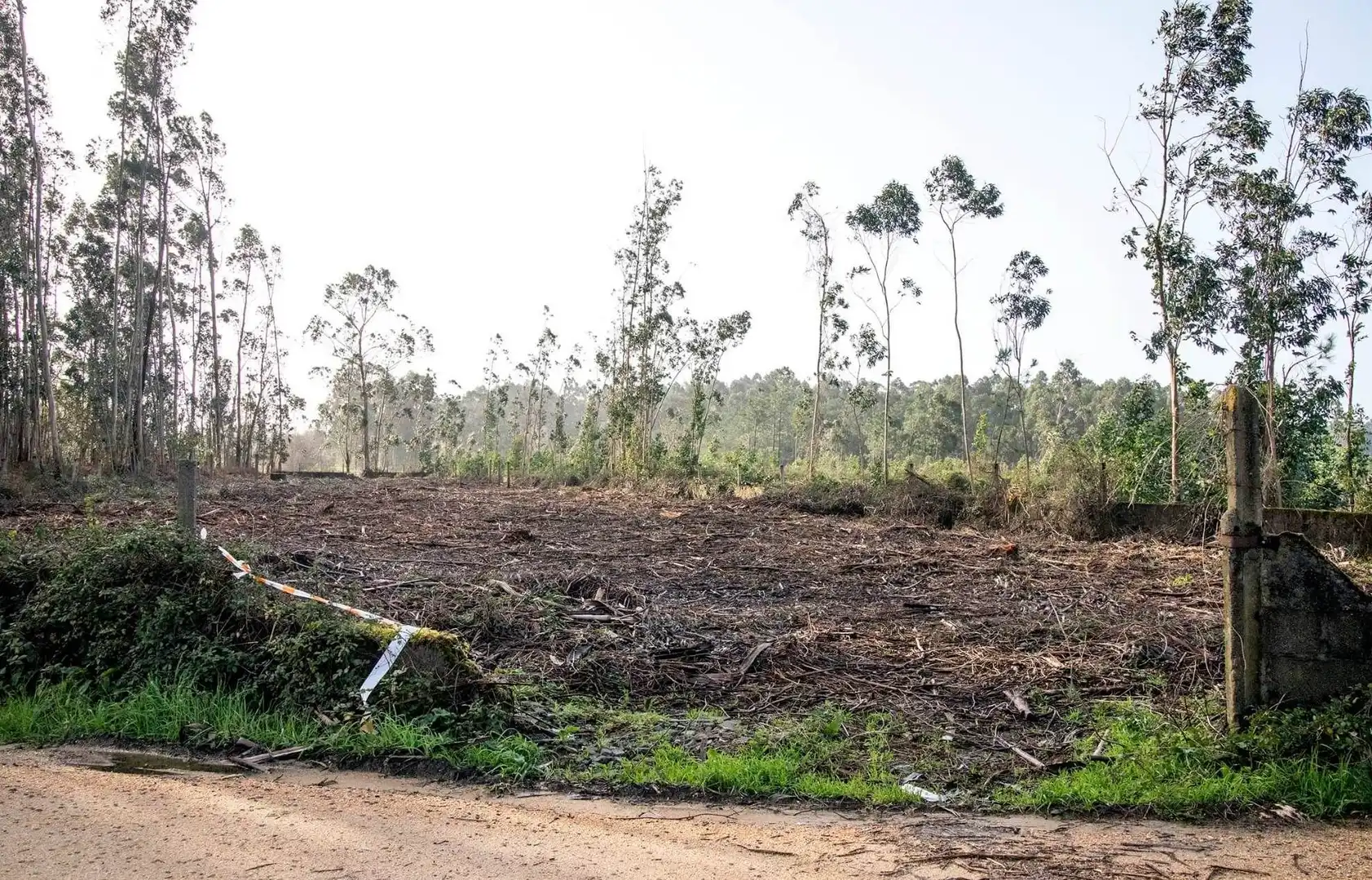 Terreno en venta en Cambados