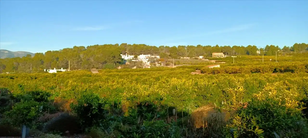 Exterior view of Land for sale in Torres Torres