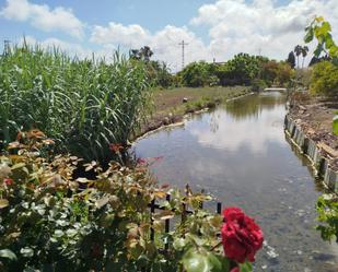 Jardí de Finca rústica en venda en Castellón de la Plana / Castelló de la Plana amb Terrassa