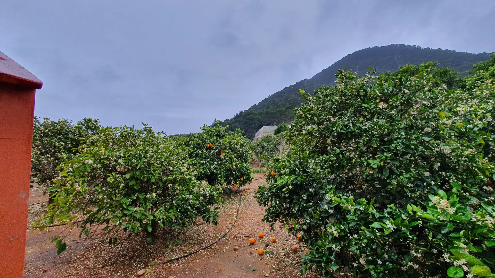 Finca rústica en venda en Tavernes de la Valldigna amb Calefacció, Jardí privat i Terrassa