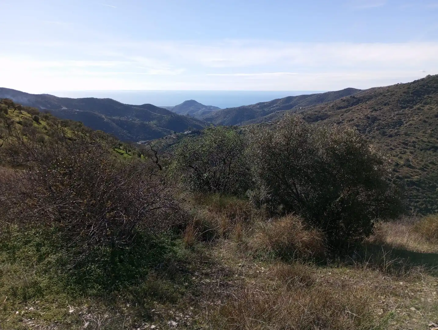 Exterior view of Land for sale in Málaga