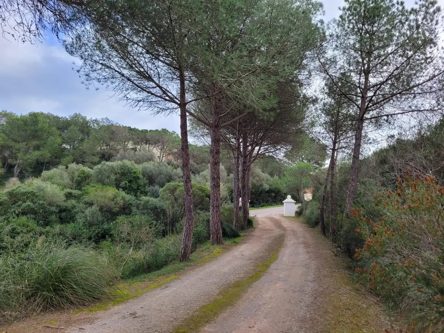 Vista exterior de Casa o chalet en venta en Maó - Mahón con Aire acondicionado, Calefacción y Terraza