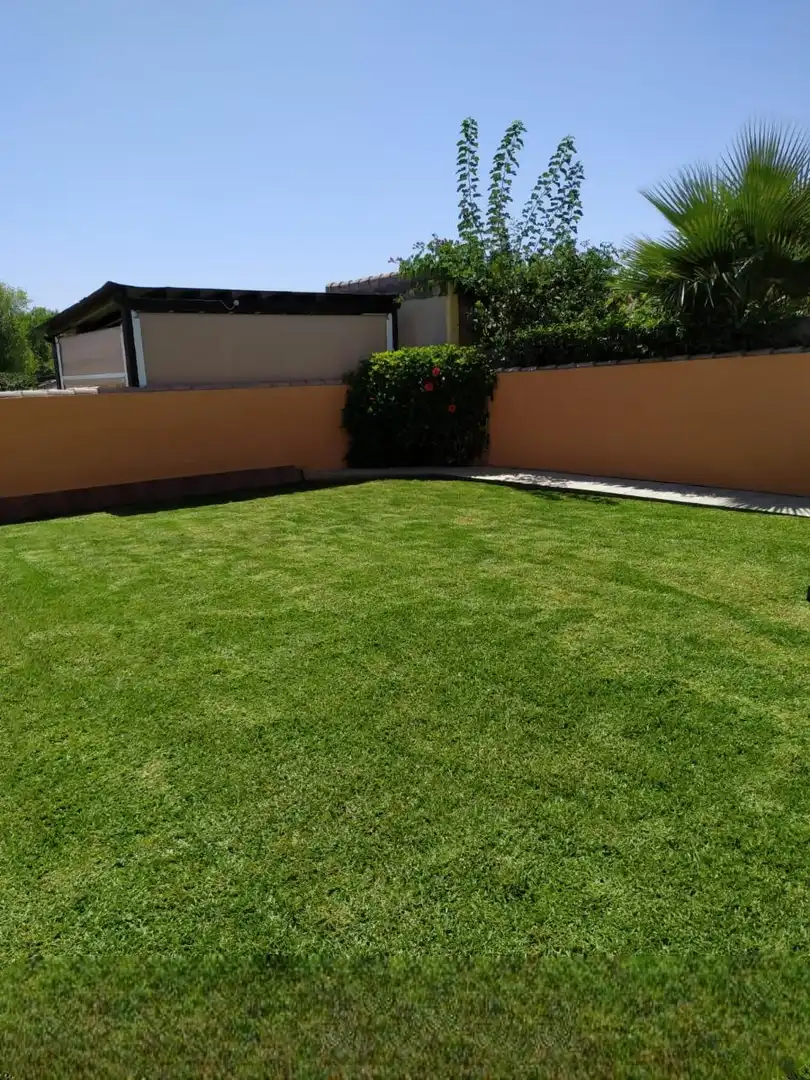 Detached house with garden for sale in Camino Camino del Pozo Boyal, imagen 5