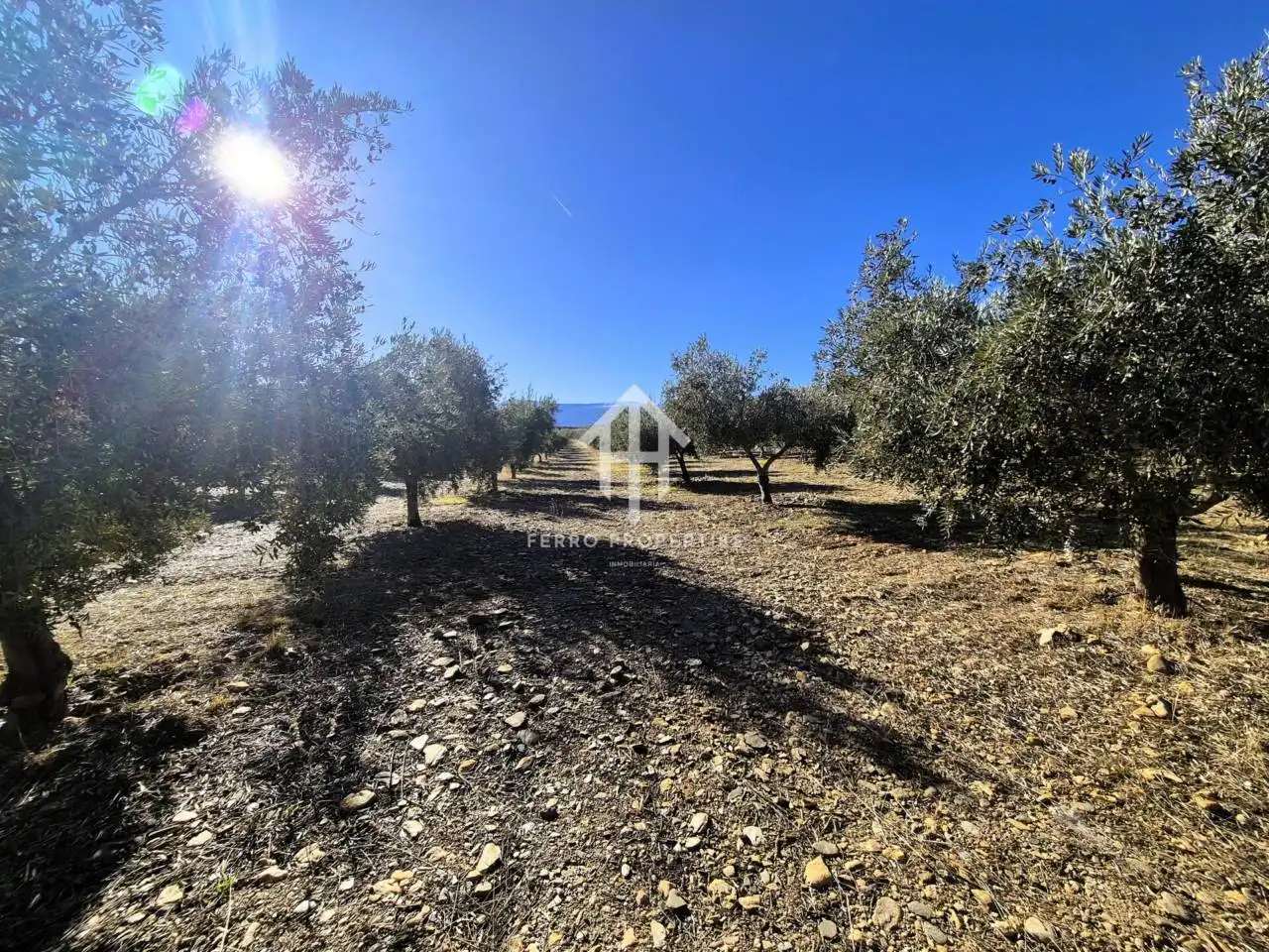Lands and plots for sale in Lanteira, imagen 13
