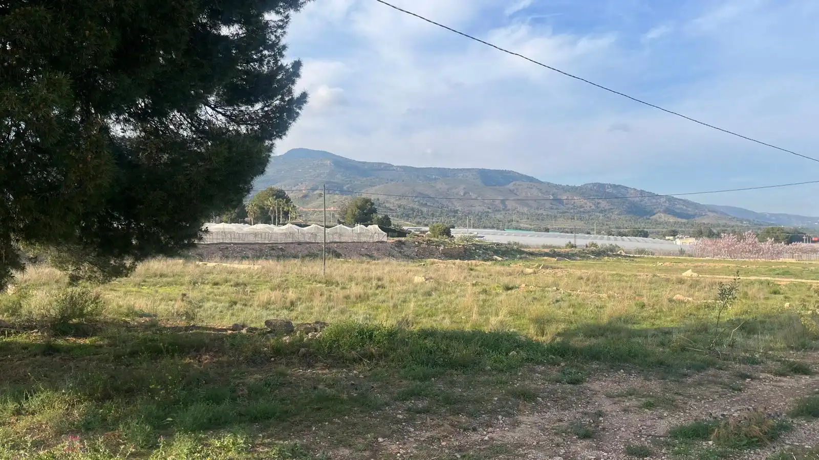 Terreno en venta en Totana