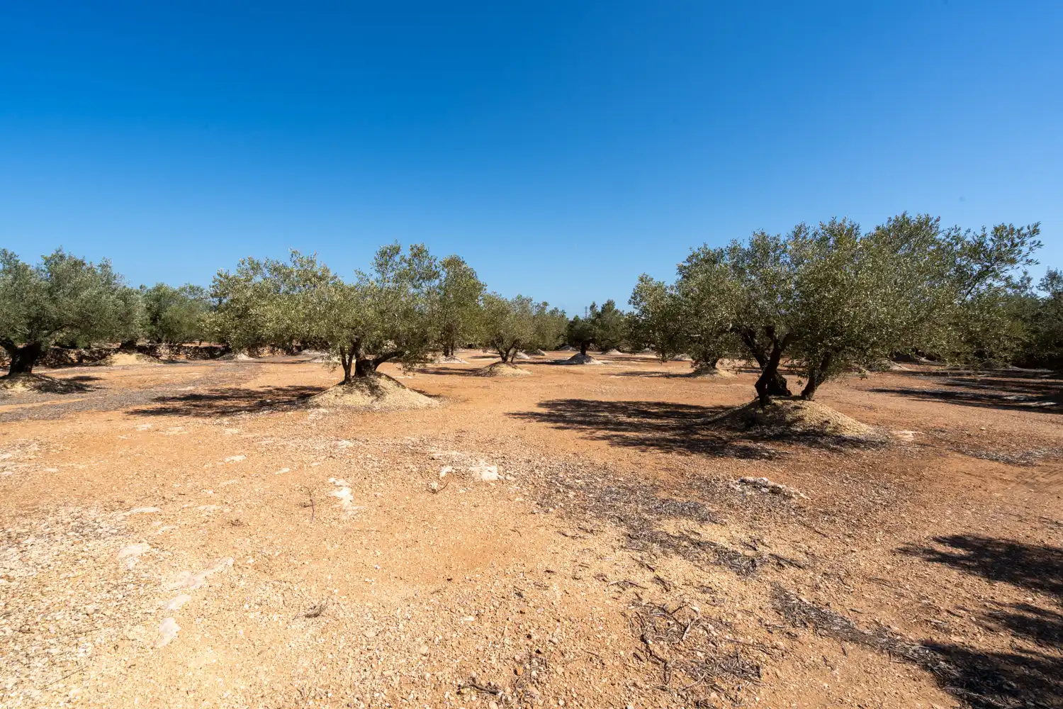 Finca rústica en venta en L'Aldea con Terraza y Amueblado