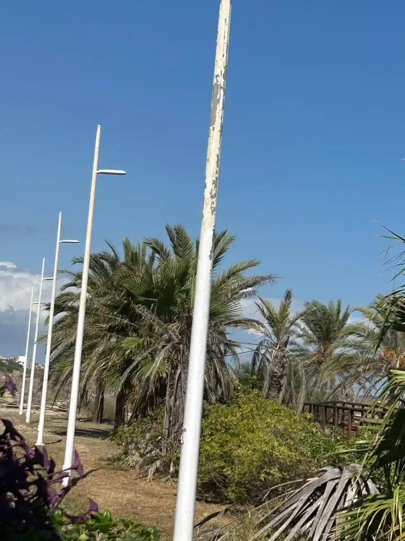Apartamento con piscina en venta en Playa de Gandia, imagen 21