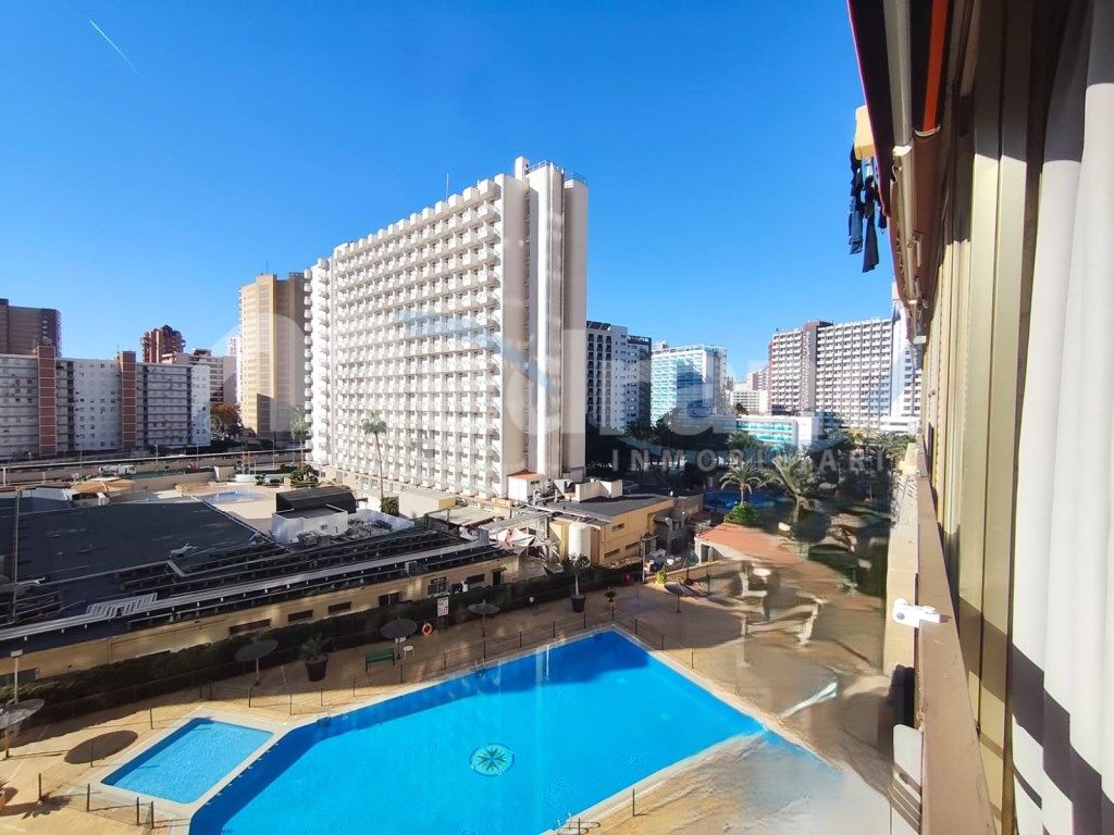 Vista exterior de Estudi de lloguer en Benidorm amb Aire condicionat, Jardí privat i Piscina