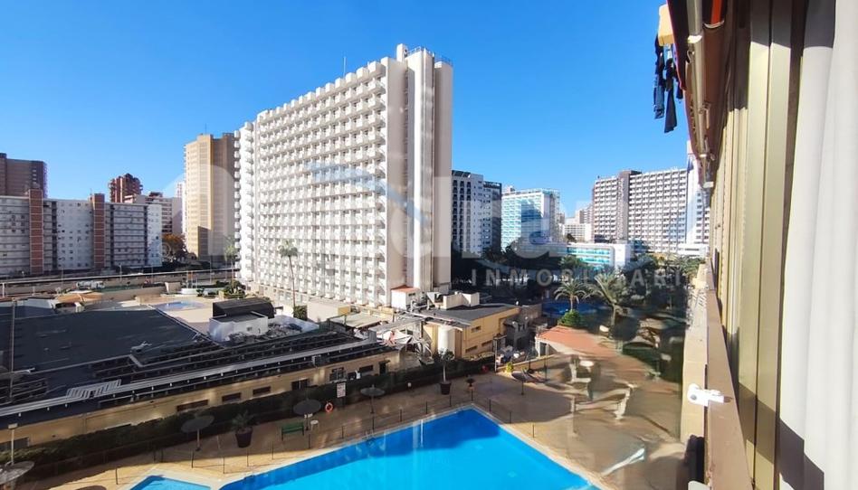 Foto 1 de Estudi de lloguer a Avenida Juan Fuster Zaragoza, Rincón Bajo, Alicante