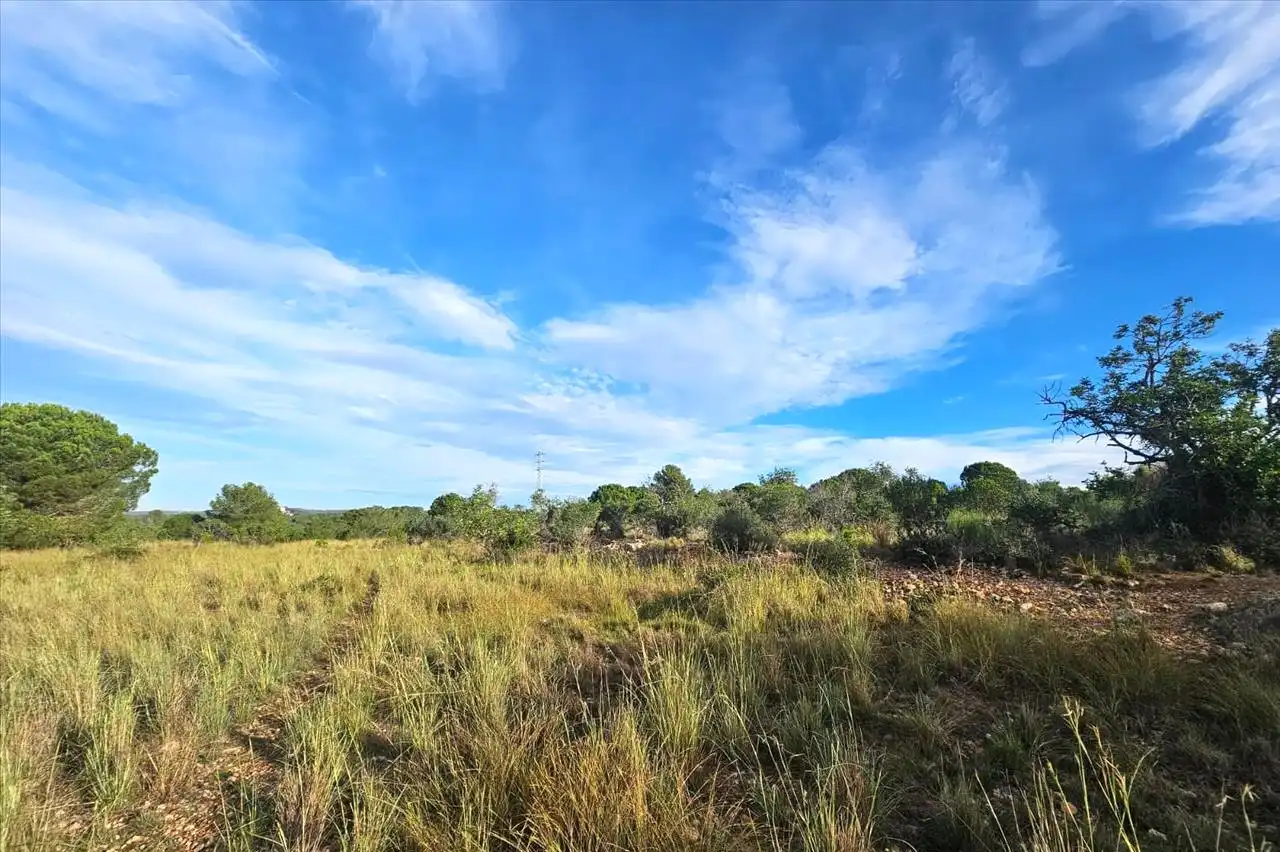 Residential land for sale in Proc. Simplificado, imagen 8