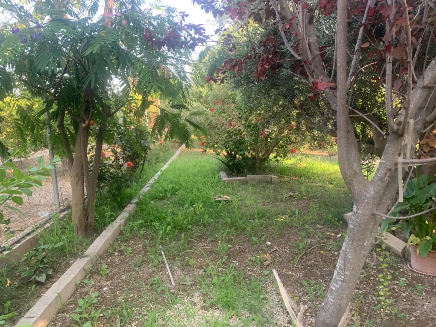 Finca rústica en venda a Alquerías