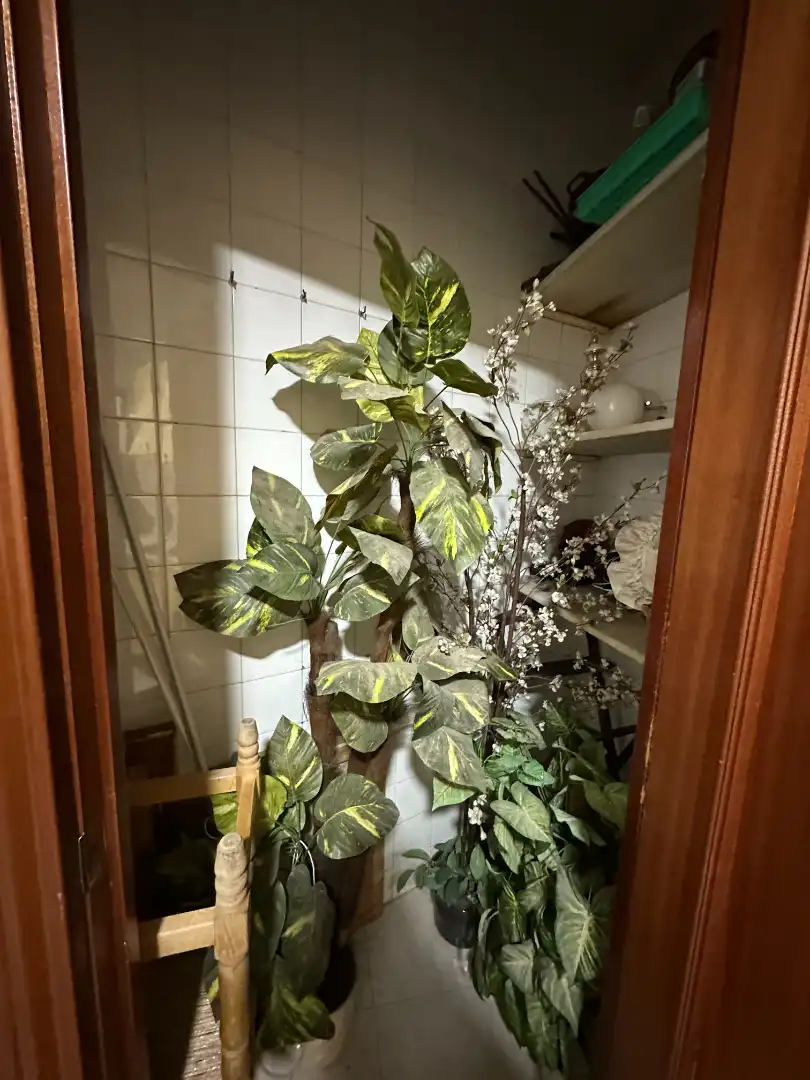 Jardí de Pis en venda en Úbeda amb Aire condicionat i Balcó