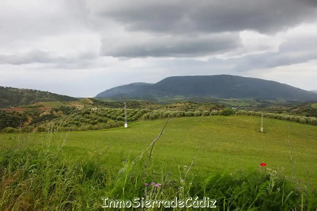 Casa rústica amb jardí en venda a Era de la Viña, imagen 35