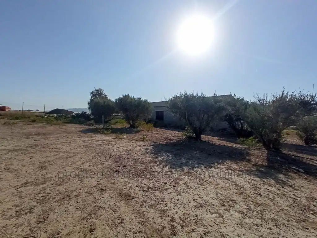 Country homes for sale in Lorca