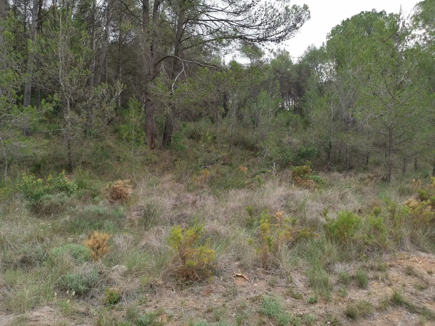 Residencial en venda en El Montmell
