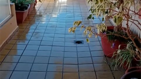 Foto 4 de Piso en venta en Calle Puerto de la Cruz, 1a, Almuñecar Centro, Almuñécar