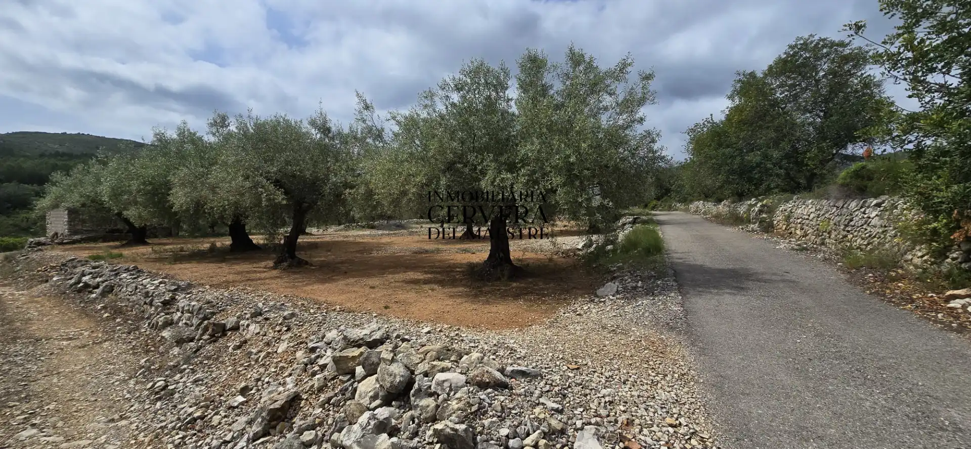 Terreno rustico in vendita a Cervera del Maestre, imagen 15