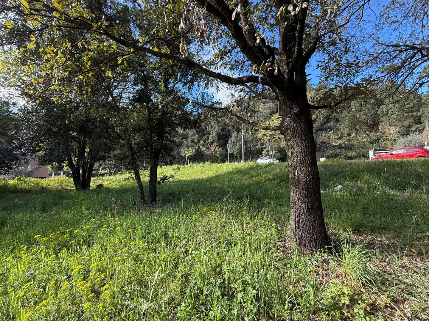 Wohnbaugrundstück zum Verkauf in Passeig de Can Figueres 33, imagen 10