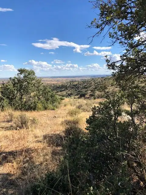 Terreny residencial en venda a Valdemorillo pueblo, imagen 4