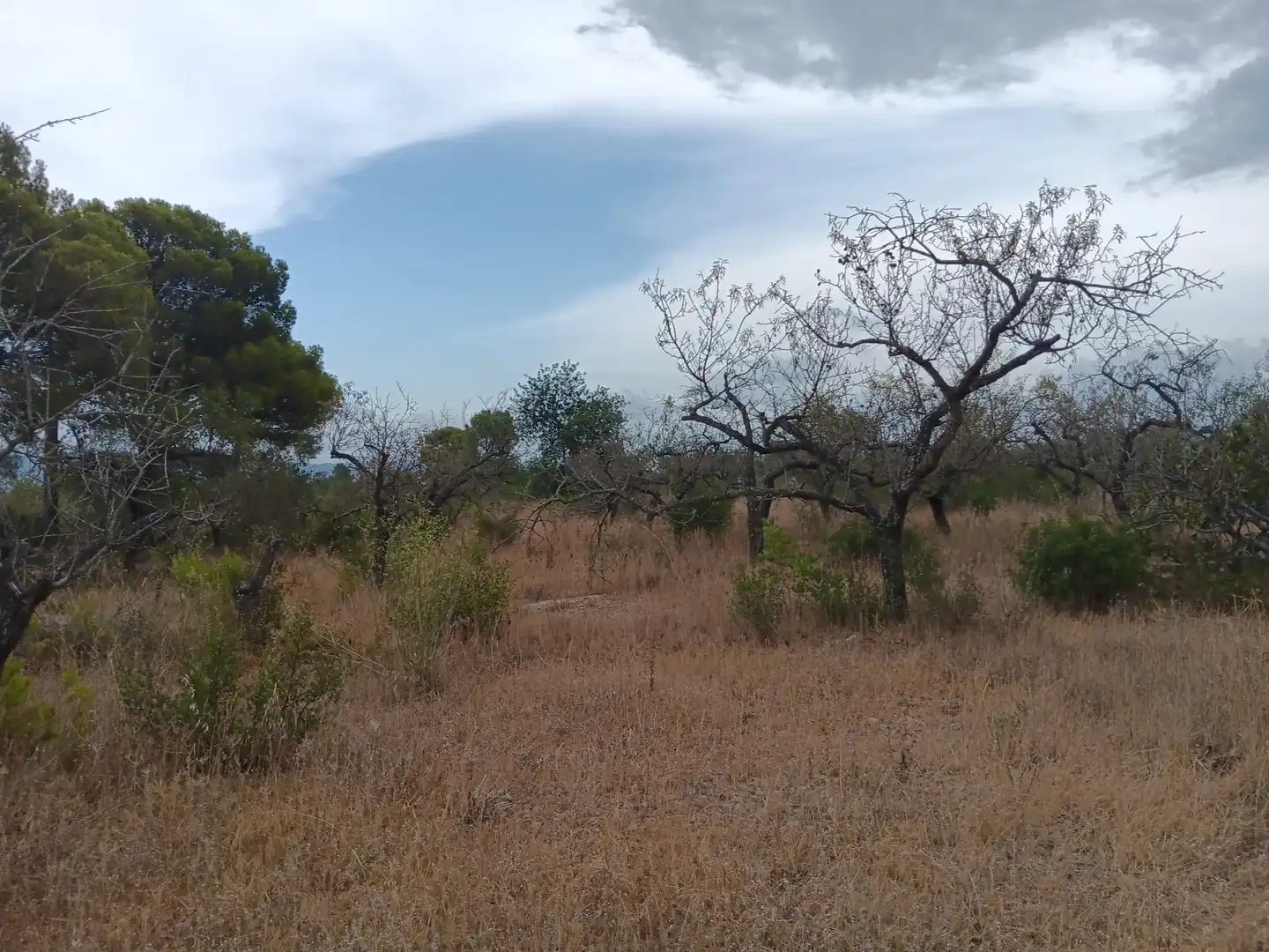 Lands and plots for sale in Roquetes, imagen 12