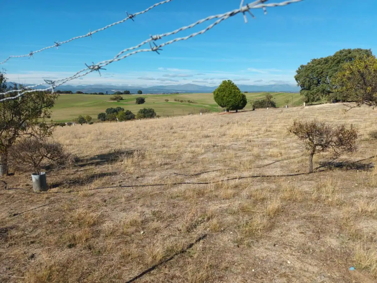 Finca rústica en venta en Brunete