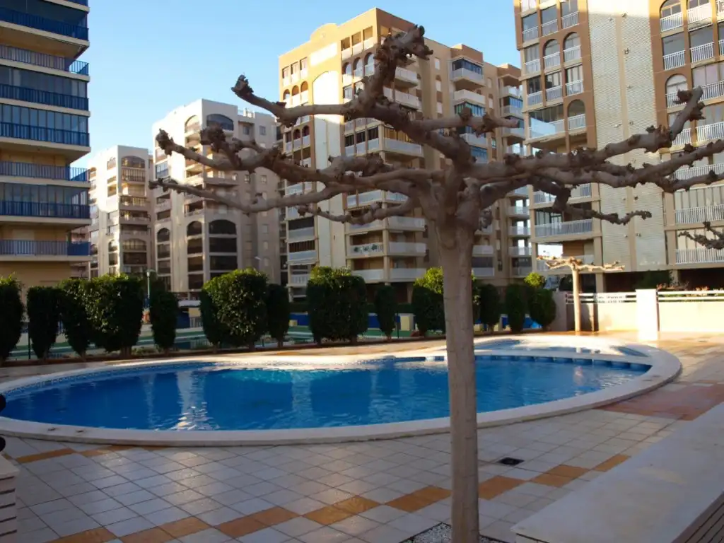 Apartament de lloguer a Avenida Ferrandis Salvador, 286, La Curva