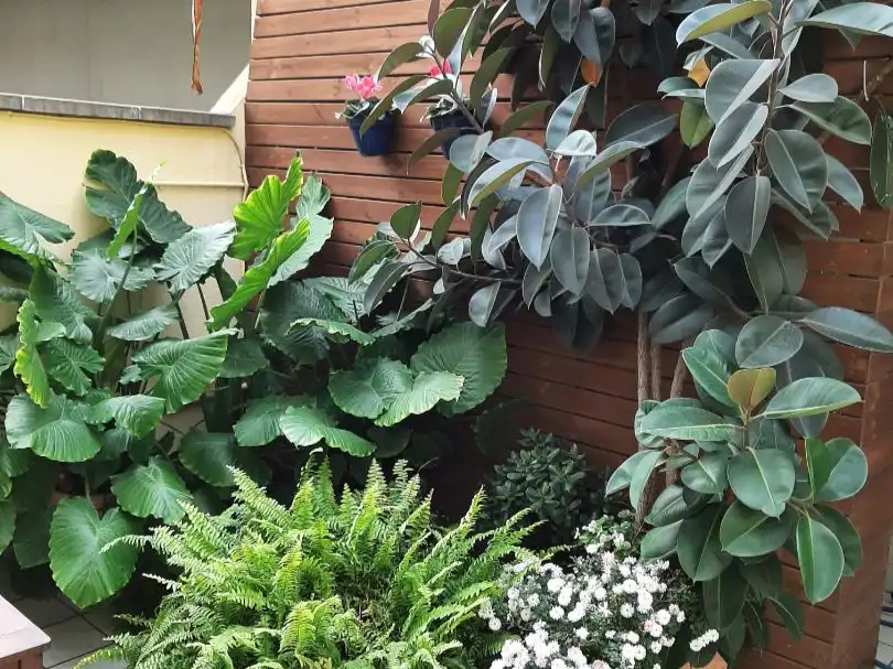Wohnung mit Aufzug zum Verkauf in Rda Alfons X, el savi 71, imagen 28