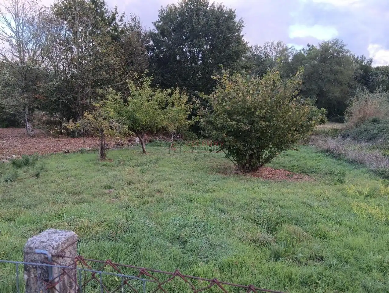 Rustikales Grundstück zum Verkauf in Amoeiro, imagen 5