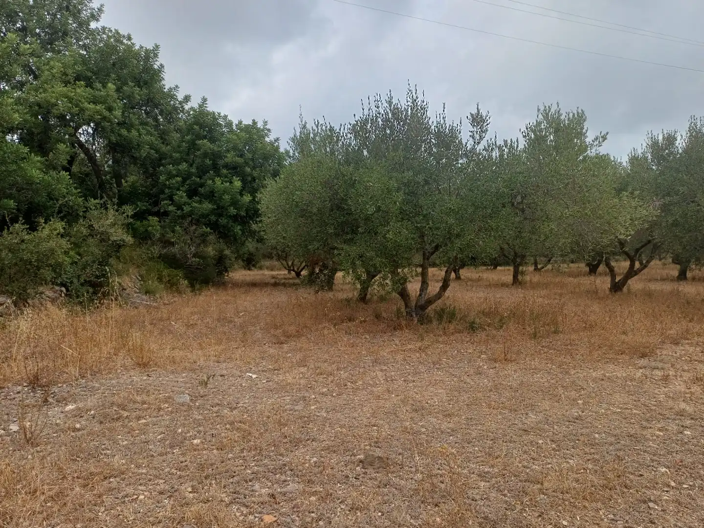 Terreno en venta en Vilanova d'Escornalbou