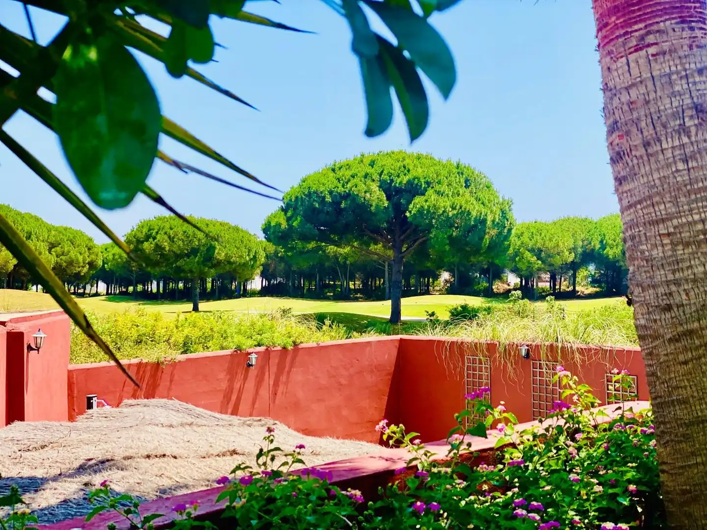 Villa con piscina in vendita a Novo Sancti Petri, imagen 54