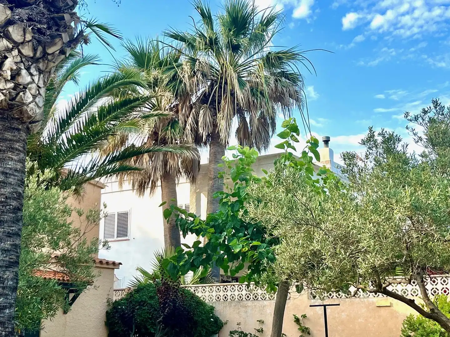Vista exterior de Casa o xalet en venda en Alcalà de Xivert amb Calefacció i Terrassa