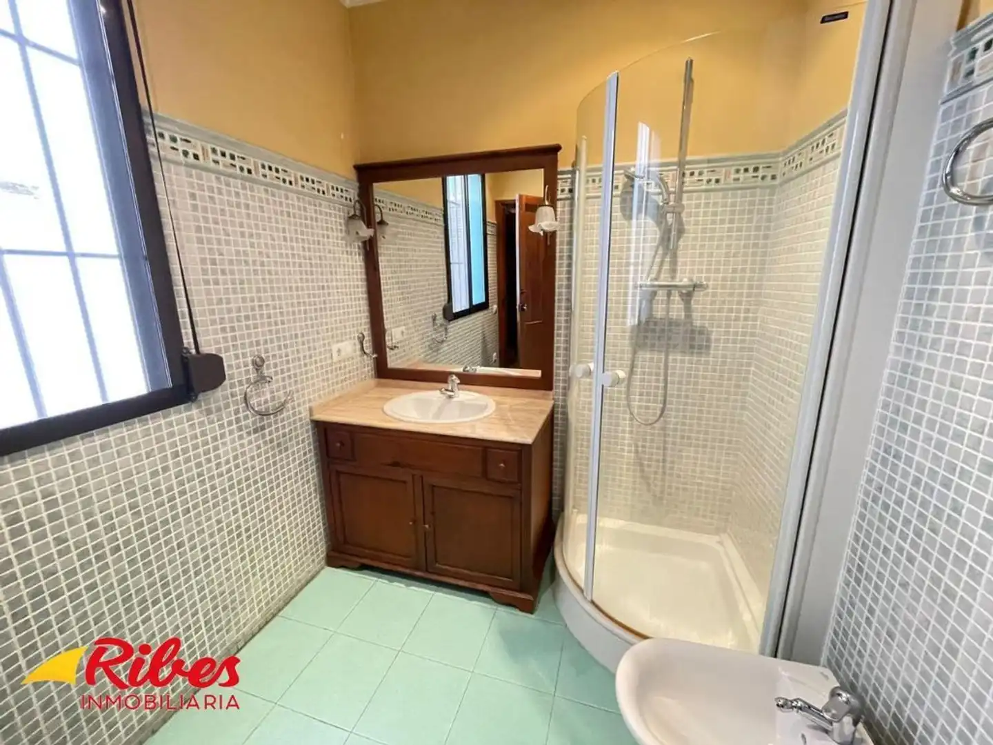 Bany de Casa o xalet en venda en Algemesí amb Terrassa i Traster