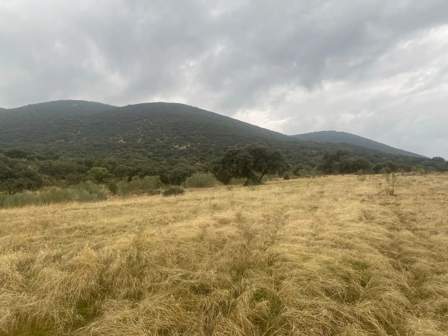 Terreni e lotti in vendita a La Estrella, imagen 34