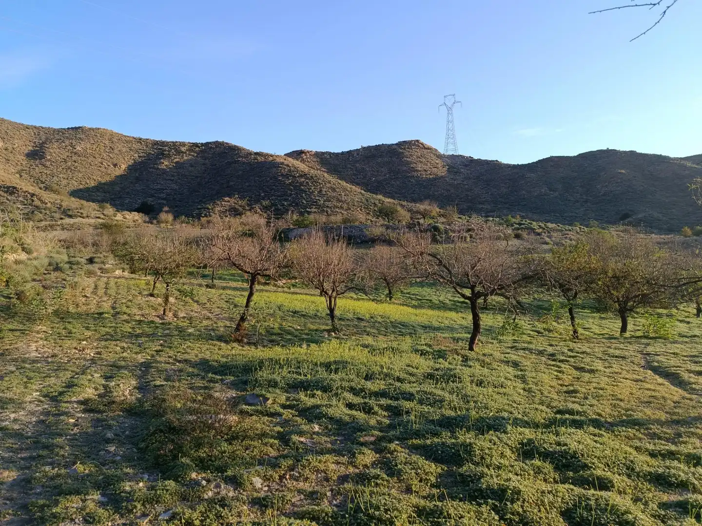 Land for sale in Cartagena