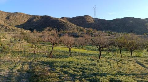 Photo 3 of Land for sale in Pasaje Fuente, la - Ds Puertos, 1, Los Puertos, Murcia