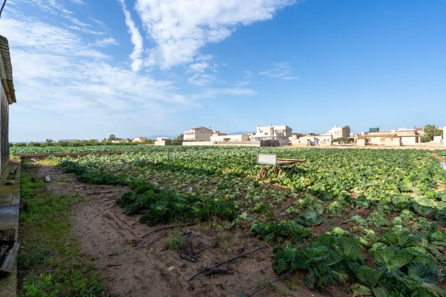 Rural land for sale in Carrer Raval de Fesol 51, imagen 3