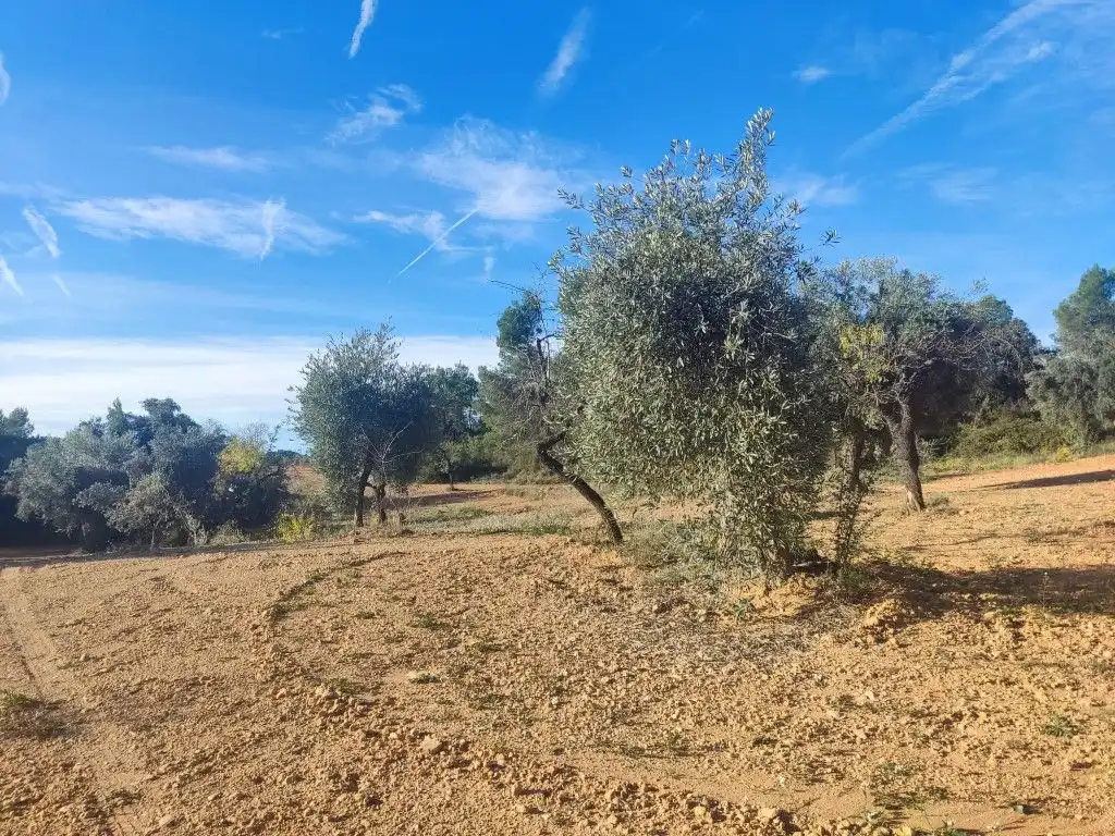 Terreni e lotti in vendita a Cretas, imagen 2