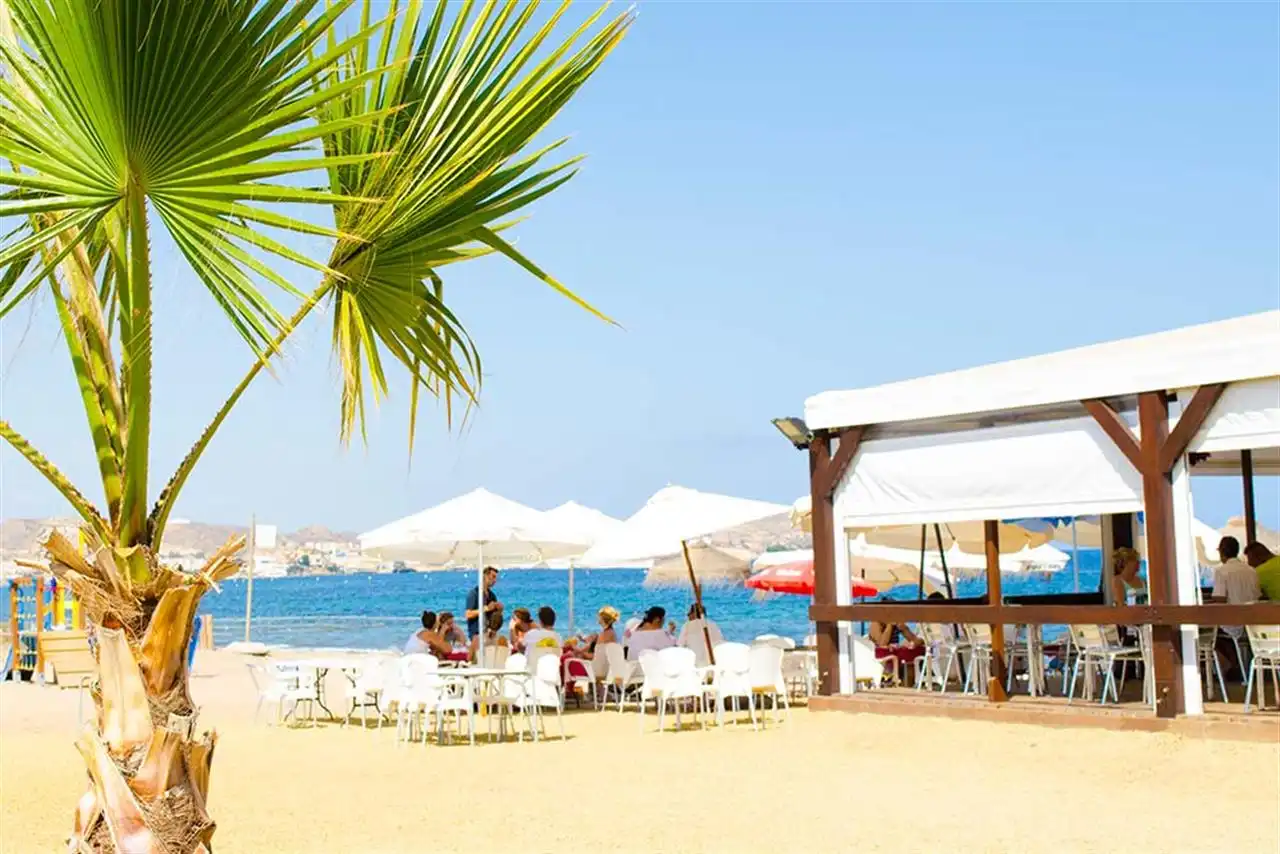 Attique avec piscine à vendre à San Juan de los Terreros, imagen 32