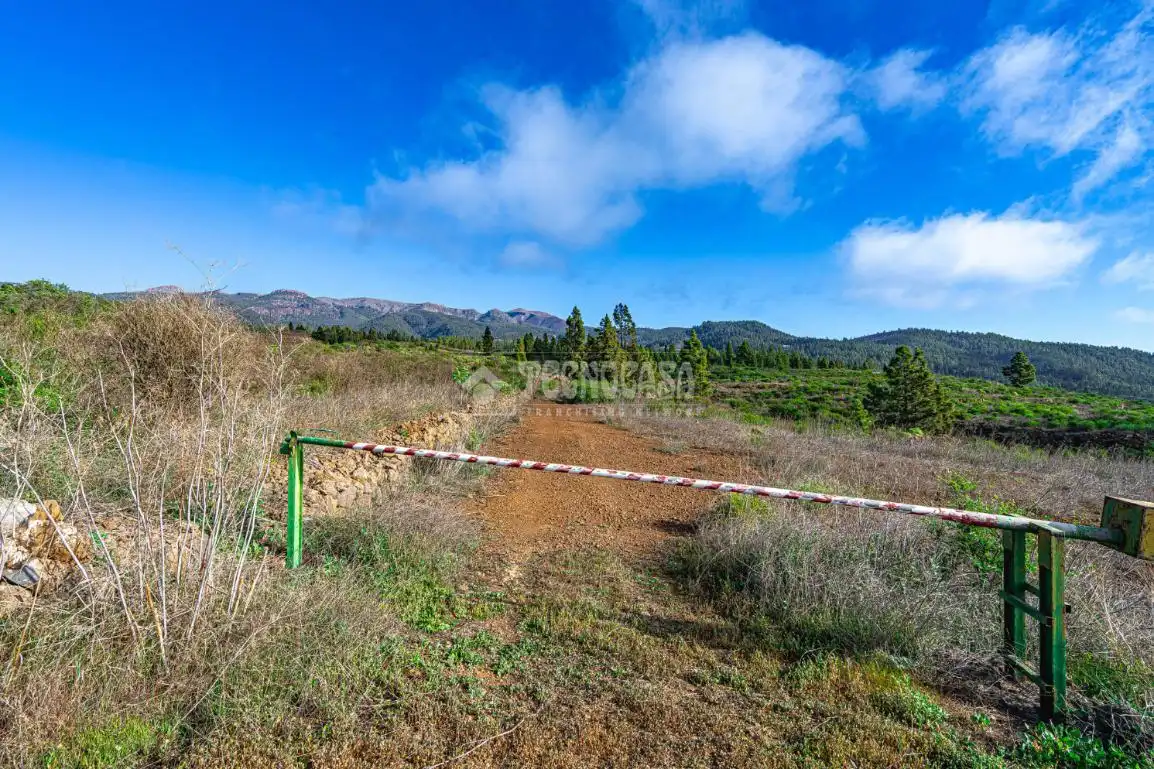Terreno rústico en venta en Poligono 1, ERA VERDE, VILAFLOR DE CHASNA, imagen 14