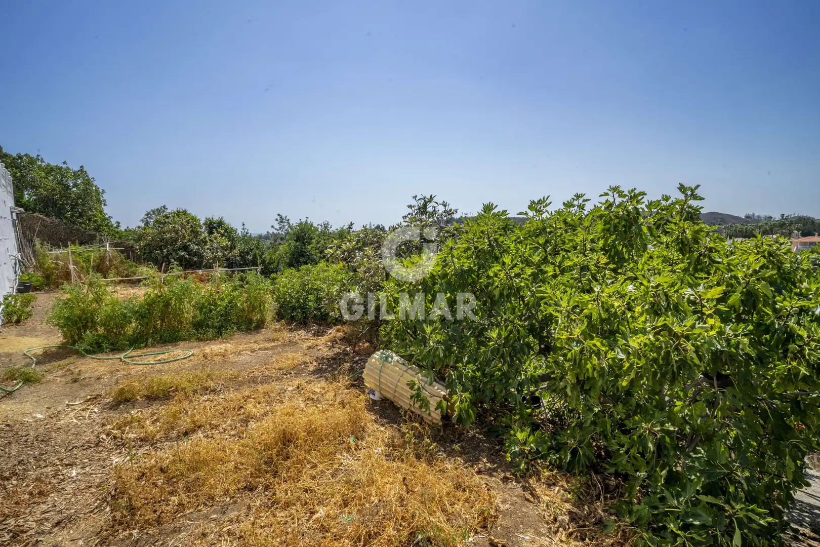 Casa o xalet en venda en Estepona amb Jardí privat i Piscina