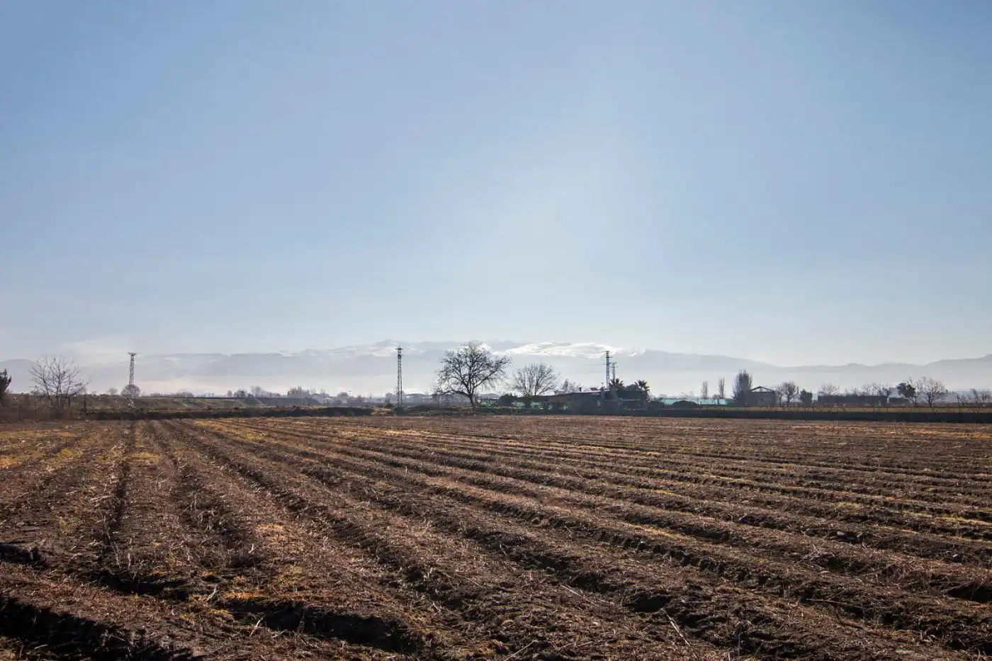 Land for sale in Granada