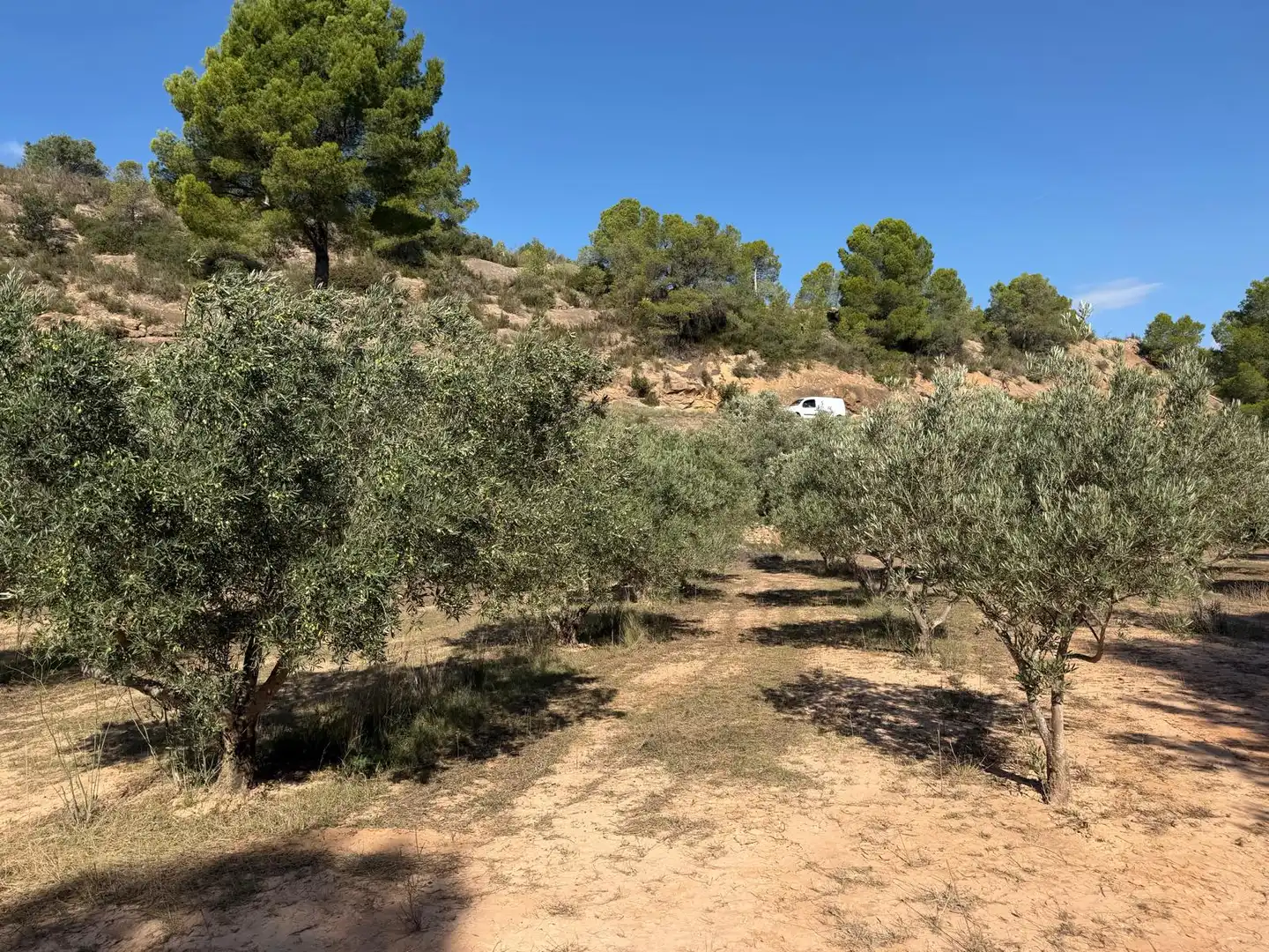 Residencial en venta en El Pinell de Brai
