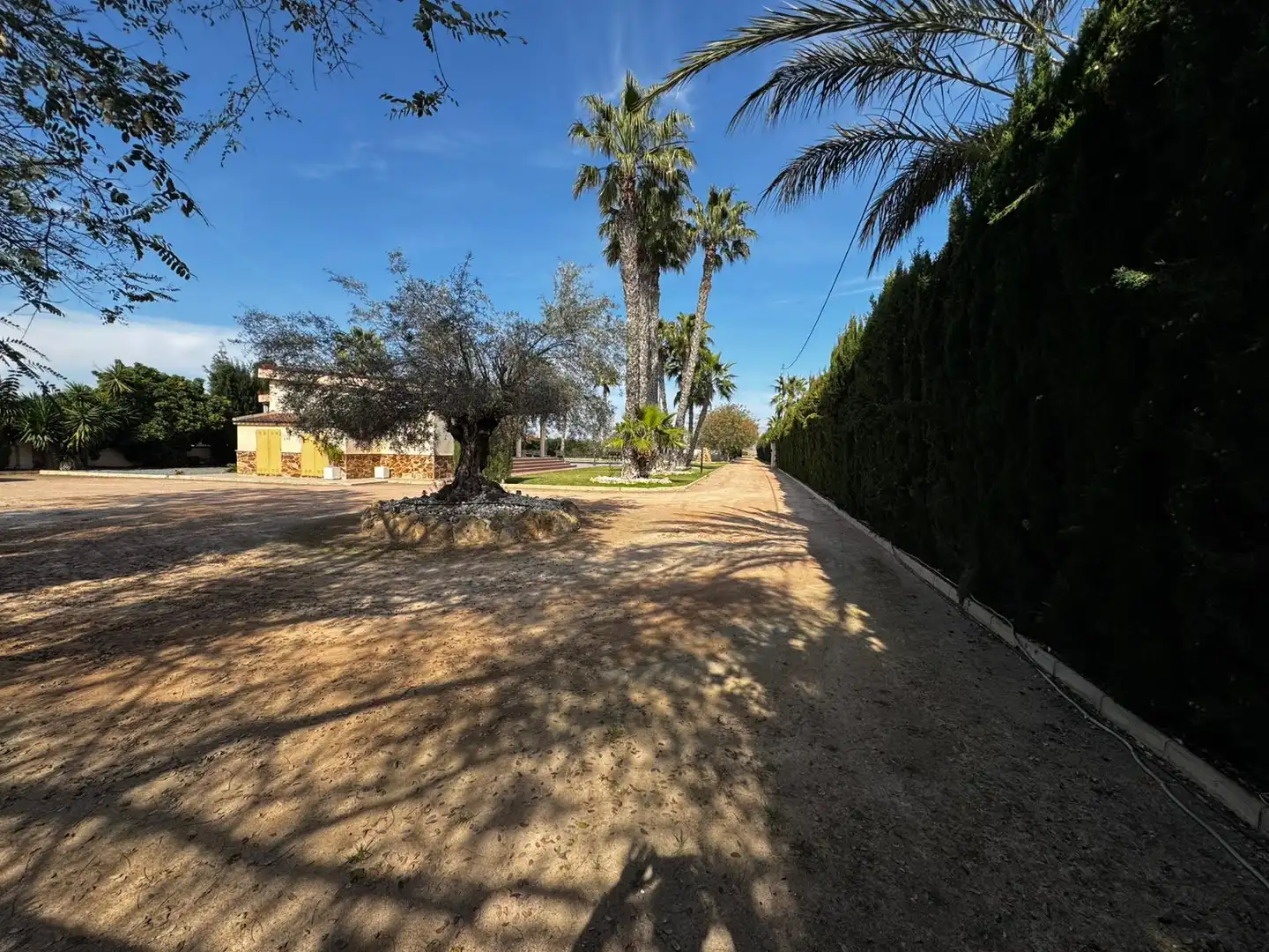 Vista exterior de Casa o chalet en venta en Catral con Calefacción