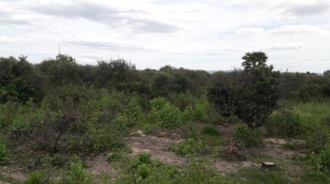 Solvia Inmobiliaria  Suelo Rústico Alberic, imagen 4