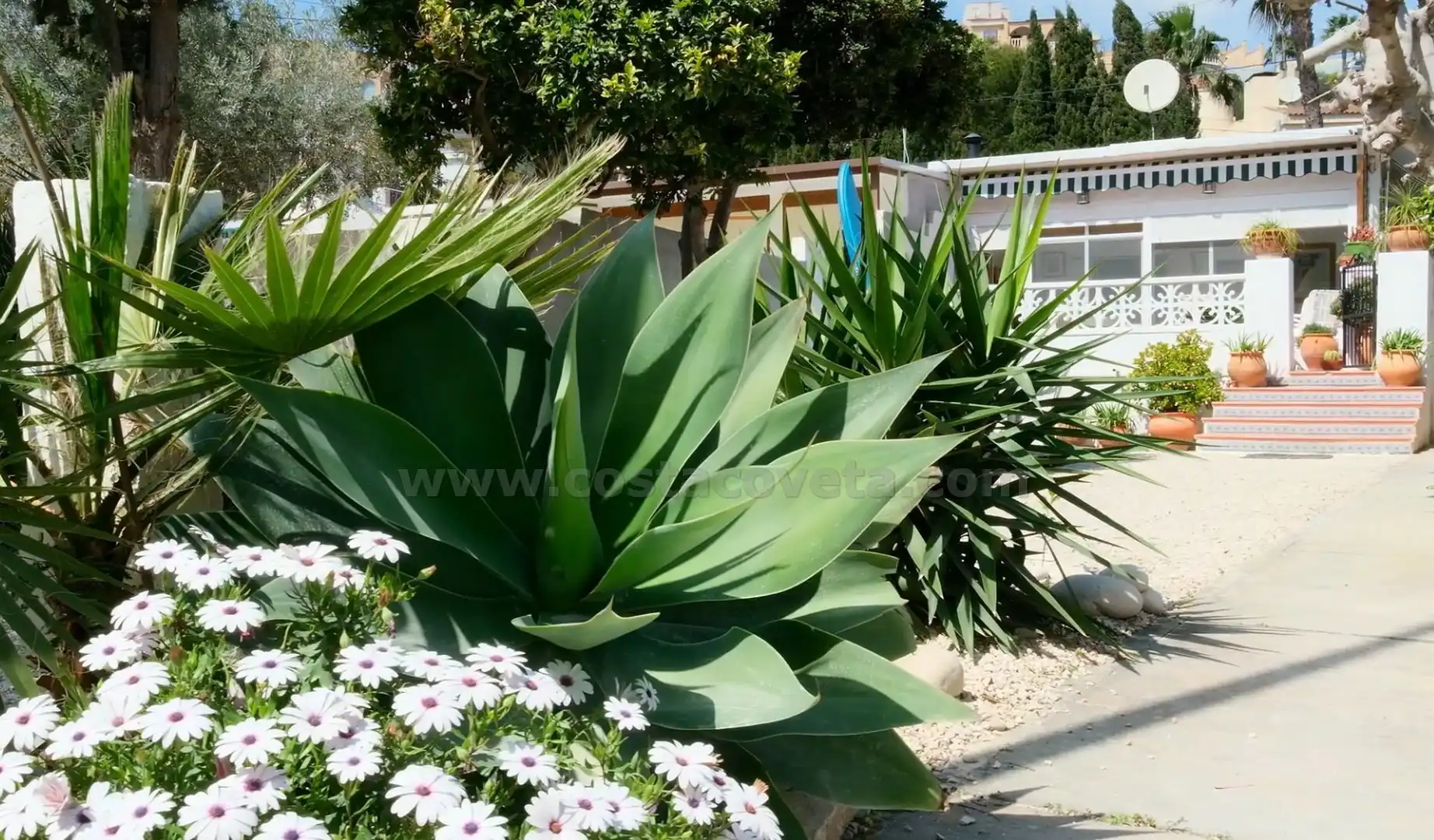 Garden of Detached homes for sale in El Campello  with Air Conditioner, Private garden and Terrace