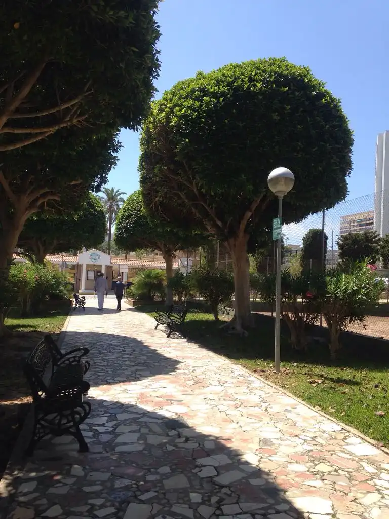 Estudio de alquiler en Avenida Benidorm, Playa de San Juan